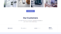 Agency/IT Websites Design