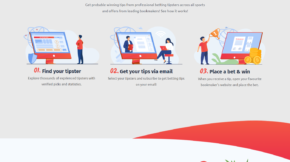 WordPress Designer & Developer